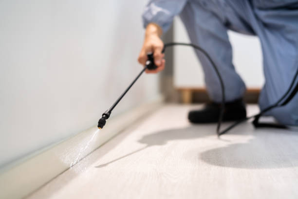Licensed Cockroach Control service in Morton, TX - Nex Pest Control