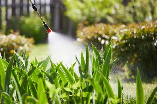 24/7 Emergency Cockroach Control experts in Morton, TX